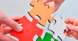 Partnership SS LOTUS